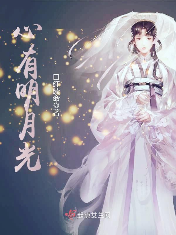 心有明月光小说封面