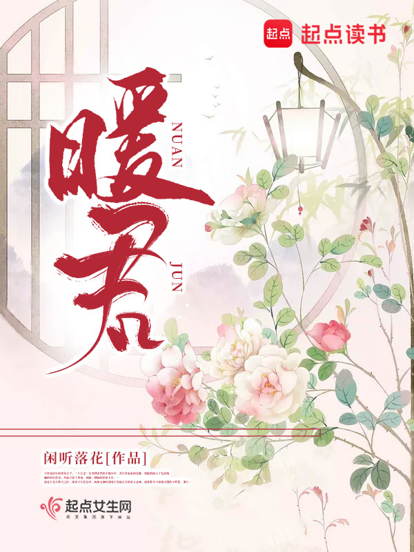 暖君小说封面