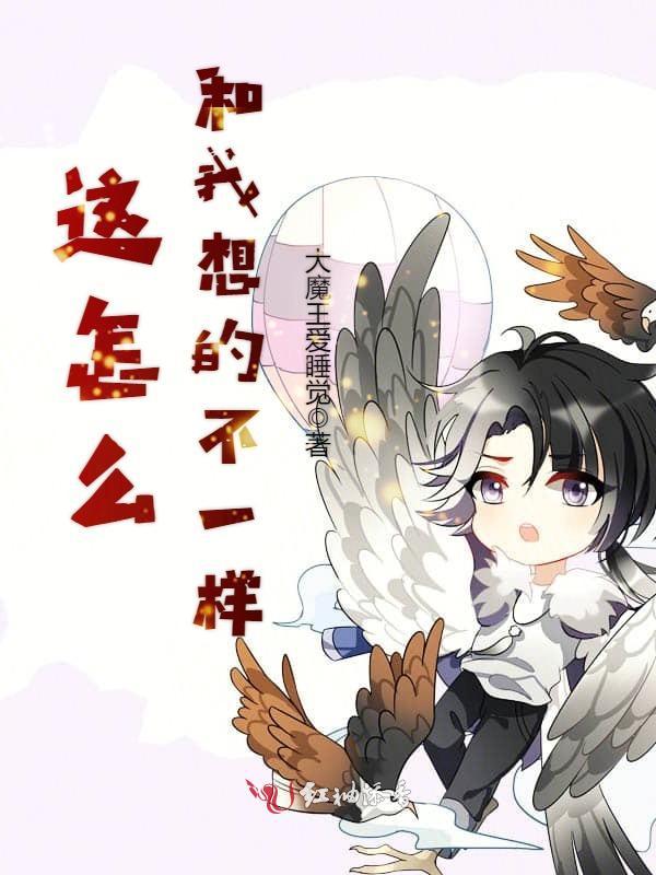 这怎么和我想的不一样小说封面