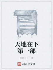 《天地在下第一部》封面