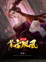 《虚空境紫雷凤凰》封面