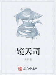 《镜天司》封面