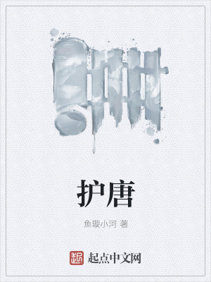 《护唐》封面