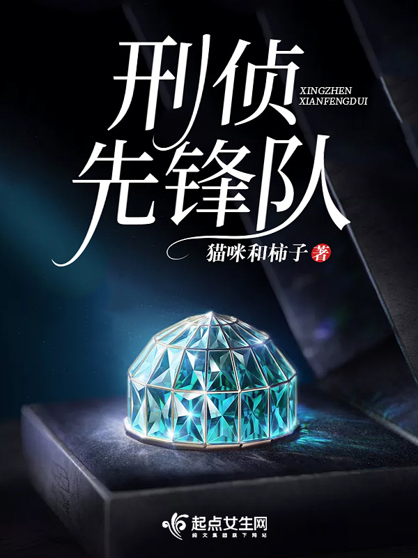 刑侦先锋队小说封面
