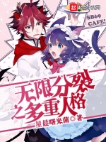 无限分裂之多重人格第一部