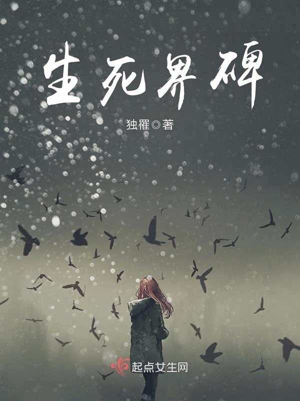 生死界碑小说封面