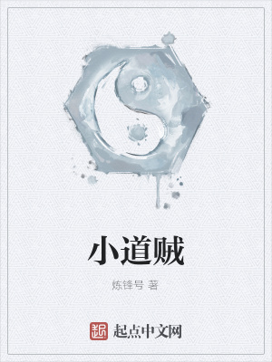 《小道贼》封面