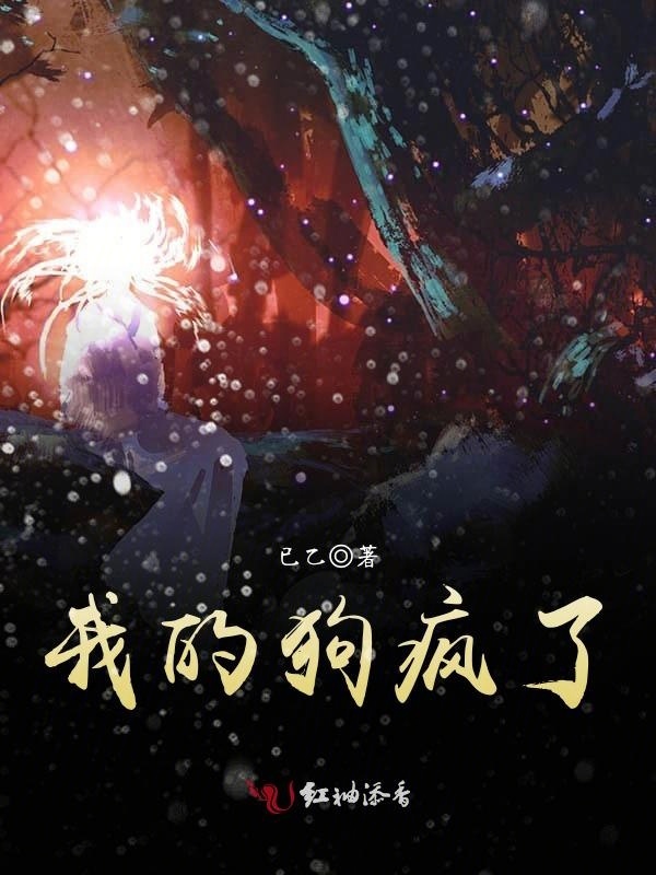 我的狗疯了小说封面