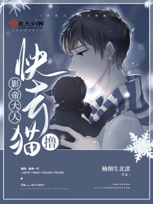 影帝大人快去撸猫小说封面