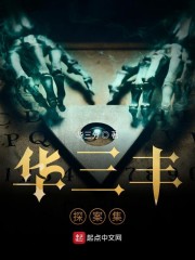 华三丰探案集