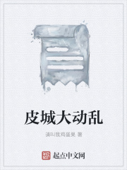 《皮城大动乱》封面
