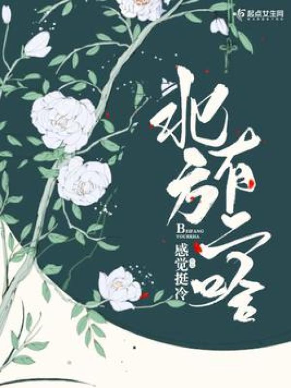 北方有二哈小说封面
