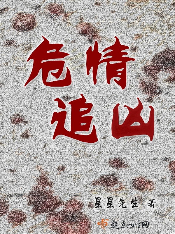危情追凶小说封面