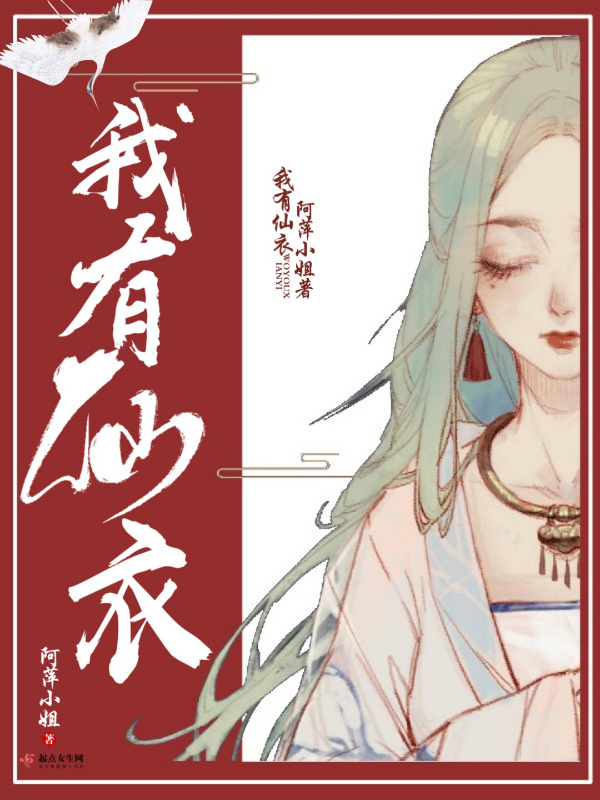 我有仙衣小说封面