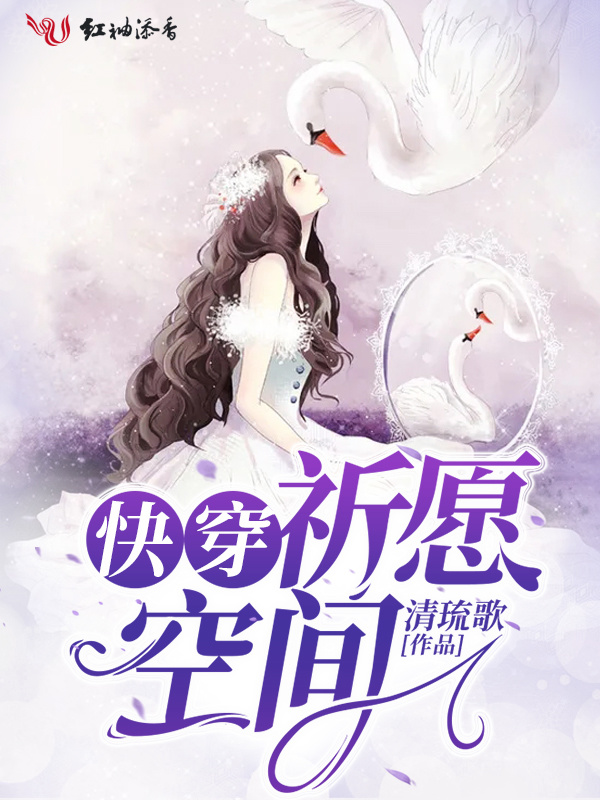 快穿祈愿空间小说封面
