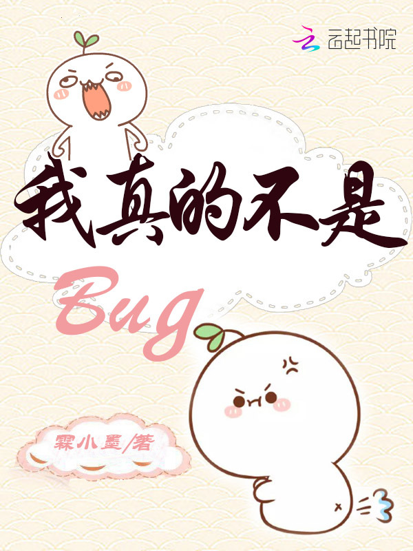 我真的不是Bug小说封面