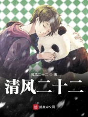 清风二十二