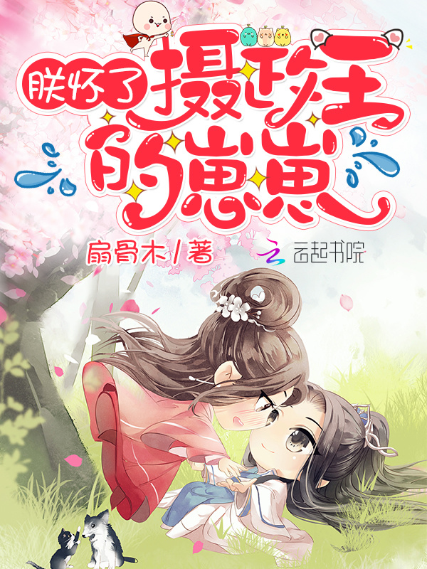 朕怀了摄政王的崽崽小说封面