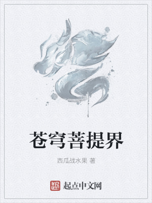《苍穹菩提界》封面