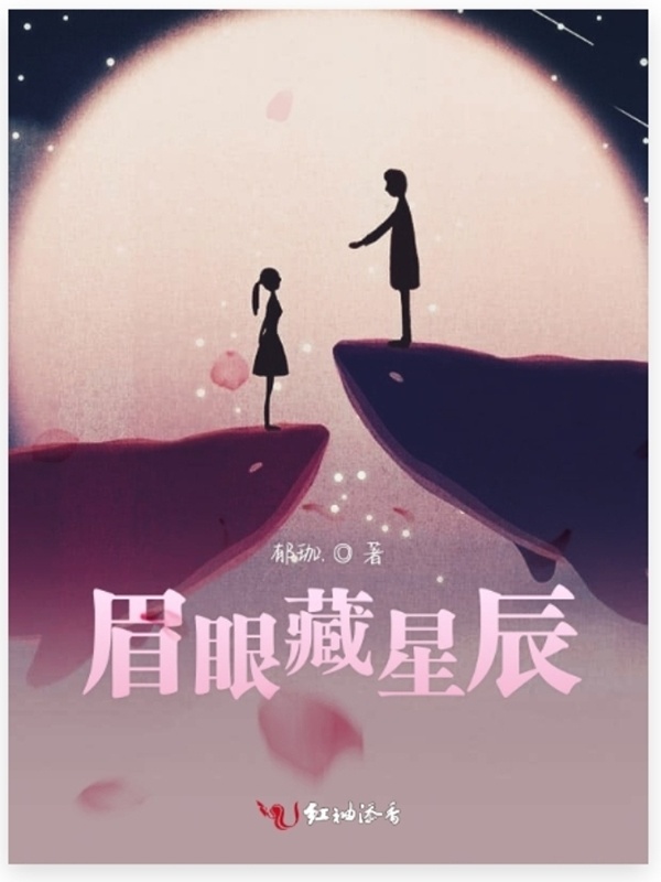 眉眼藏星辰小说封面