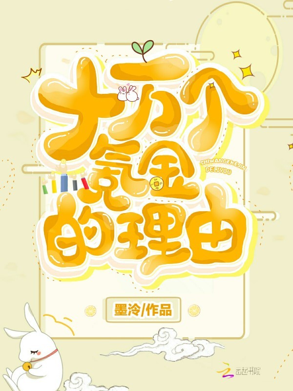 十万个氪金的理由小说封面