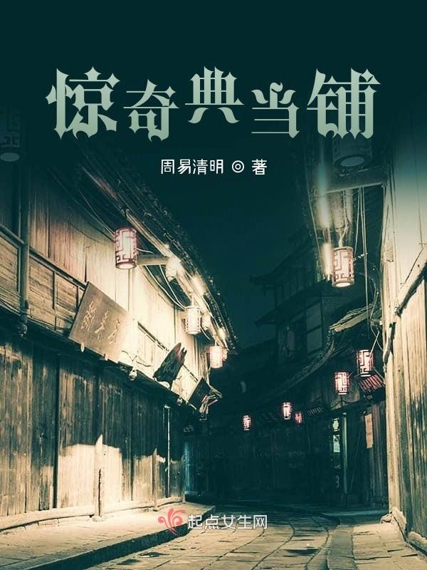 惊奇典当铺小说封面