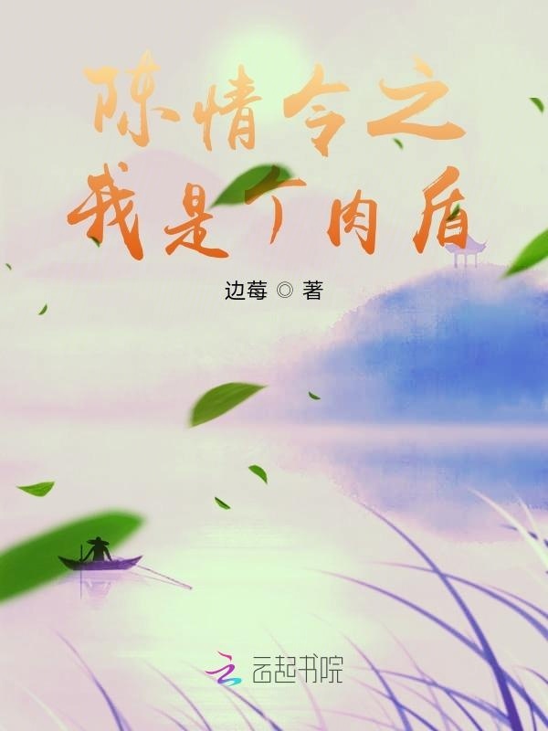陈情令之我是个肉盾小说封面