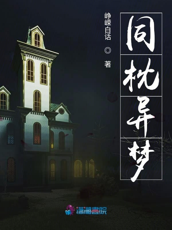 同枕异梦小说封面
