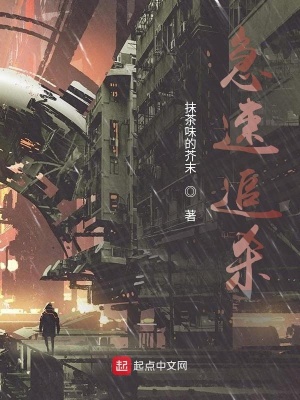 《急速追杀》封面
