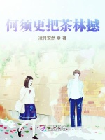 何须更把茶林撼