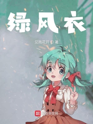 《绿风衣》封面