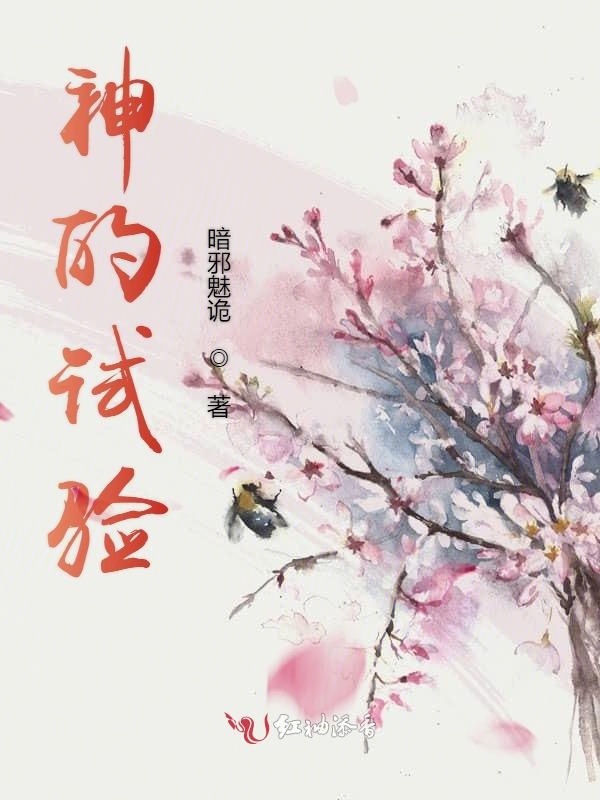 神的试验小说封面