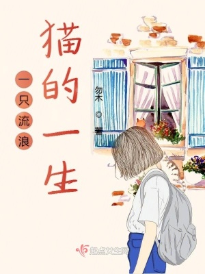 《一只流浪猫的一生》封面