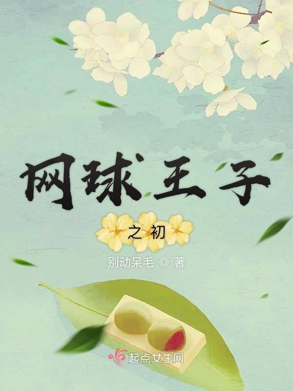 网球王子之初小说封面