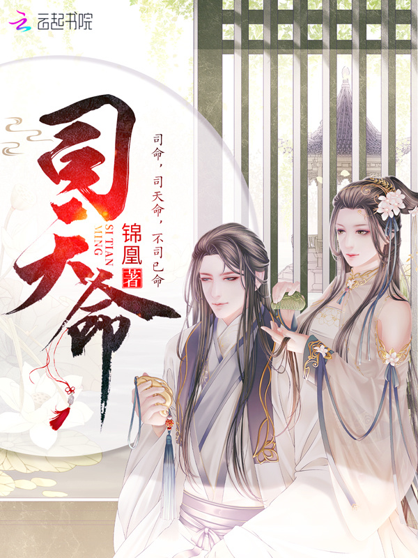 司天命小说封面