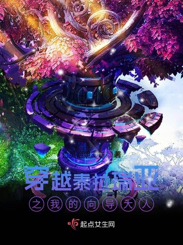 穿越泰拉瑞亚之我的向导大人小说封面