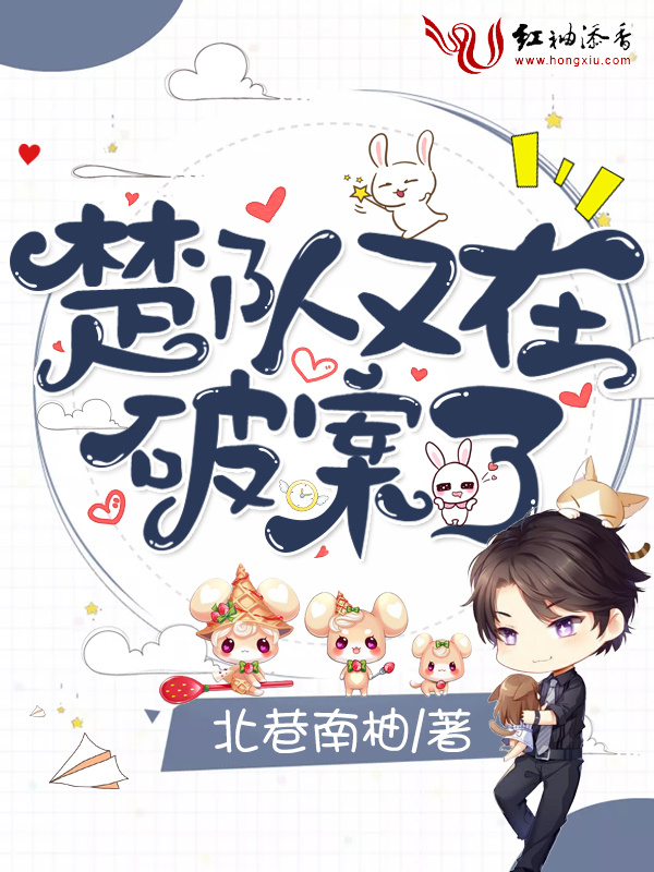 楚队又在破案了小说封面