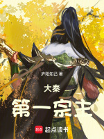 大秦第一宗主
