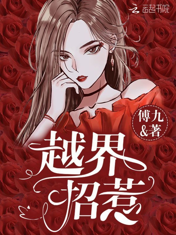 越界招惹小说封面