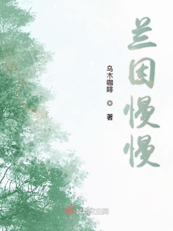 兰因慢慢小说封面