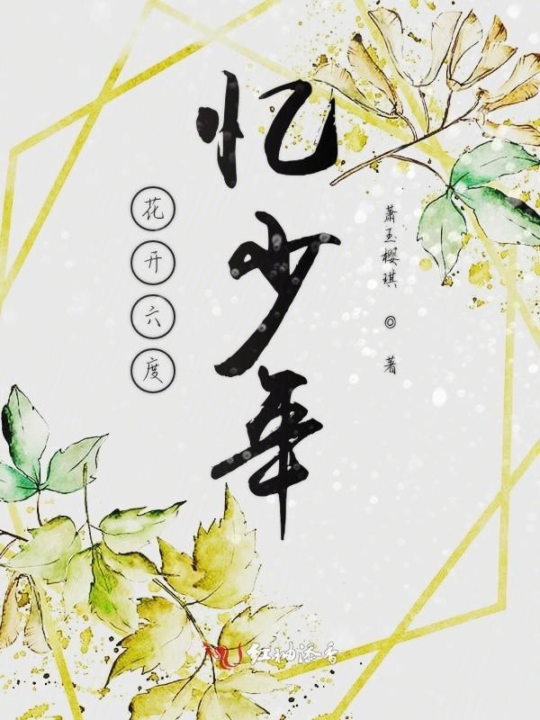花开六度忆少年小说封面