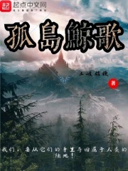 《孤岛鲸歌》封面