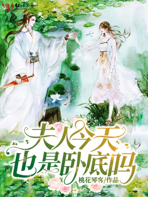 夫人今天也是卧底吗小说封面