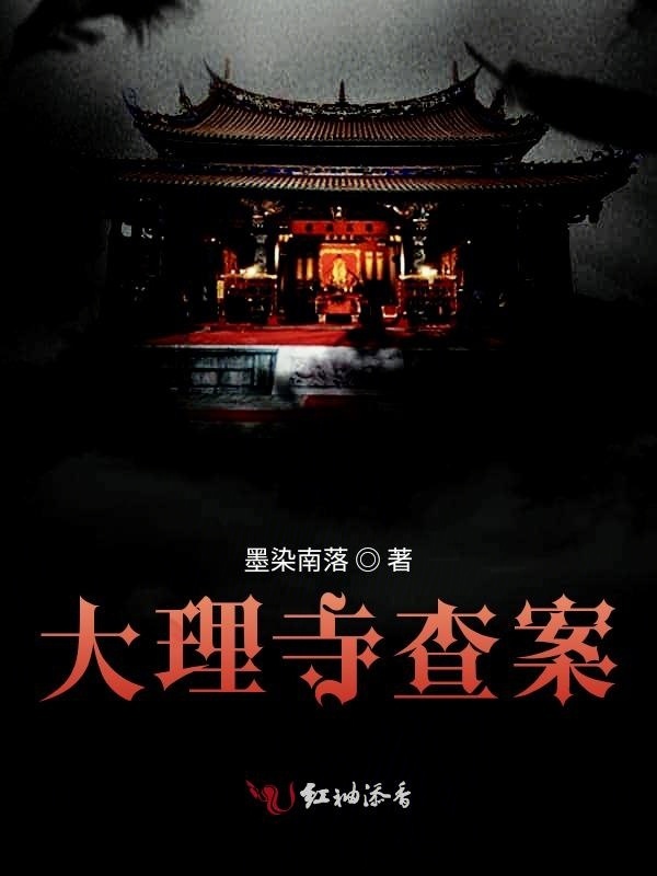 大理寺查案小说封面