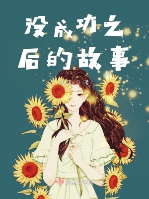 《没成功之后的故事》封面