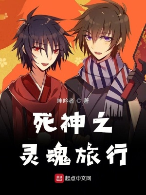 《死神之灵魂旅行》封面