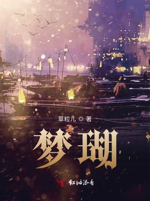 梦瑚小说封面