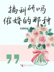 《搞科研吗催婚的那种》封面
