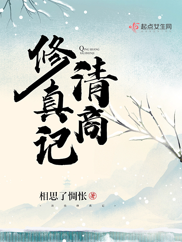 清商修真记小说封面