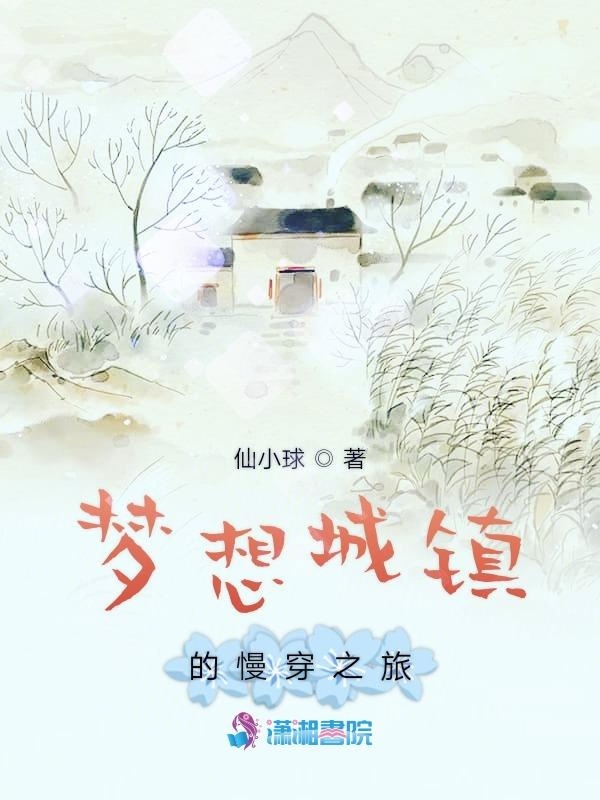 梦想城镇的慢穿之旅小说封面